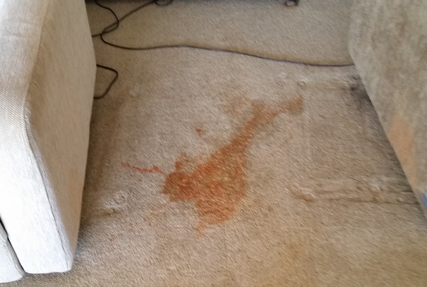 Pjscarpetcare-spaghetti-stain-carpet-stain-removal