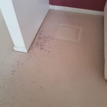 Old Wives Tales, Red wine stain removal