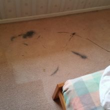 Activated Charcoal on carpet makes a mess.