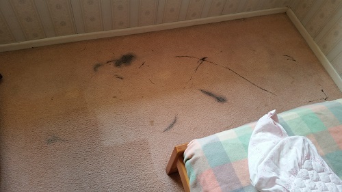 activated-charcoal-on-carpet Activated Charcoal on carpet makes a mess.