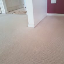 Red wine removal from carpet