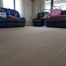 Kuraby Carpet Cleaning