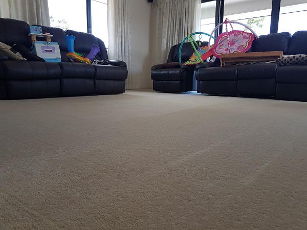 Logan Carpet Cleaning, quality cleaning by P'J's Carpet Care,