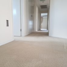 Kuraby Carpet Cleaning