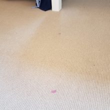 Carpet Spot Removal of Makeup