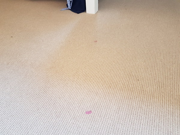 Carpet Spot Removal of Makeup