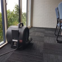 Wet carpet in Mt Gravatt