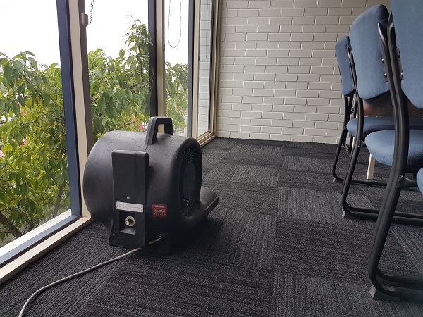 Wet carpet in Mt Gravatt