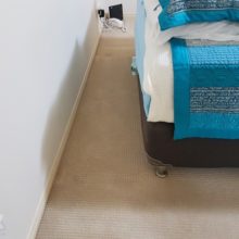 Carpet cleaning tricks
