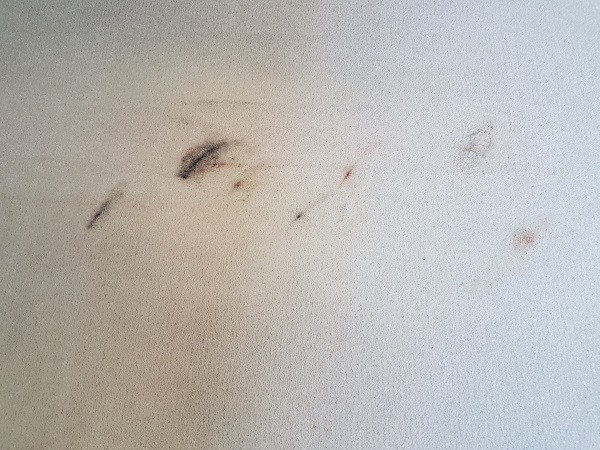 Carpet Stain Removal Exercise Bike