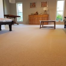 Carpet Steam Cleaning