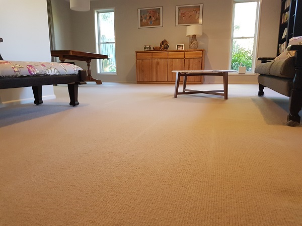 Carpet Steam Cleaning