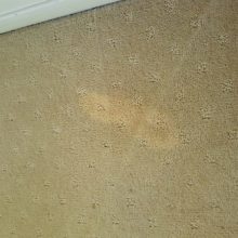 old wives tales, bleach stains