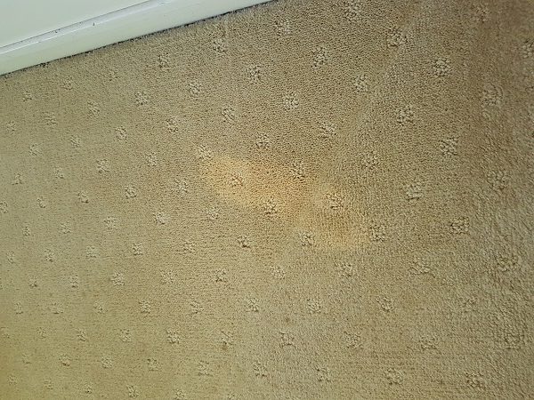 old wives tales, bleach stains