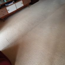 Regular carpet cleaning is important