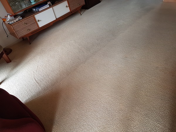 Regular carpet cleaning is important