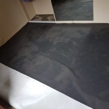 Flooded Carpet