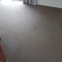 Mansfield Carpet Cleaning and the difference it can make