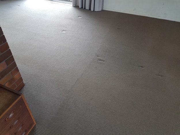 mansfield-carpet-cleaning Mansfield Carpet Cleaning and the difference it can make