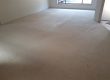 Cleaning Nylon Carpet