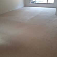 Cleaning Nylon Carpet