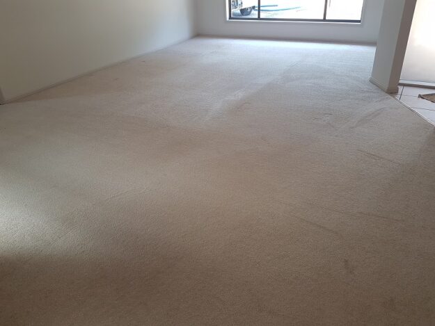 cleaning-nylon-carpet Cleaning Nylon Carpet
